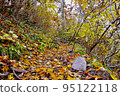 Mt. Houki in autumn, the mountain trail among the autumn leaves 95122118