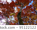 Autumn at Mt. Houki, trees with red leaves 95122122