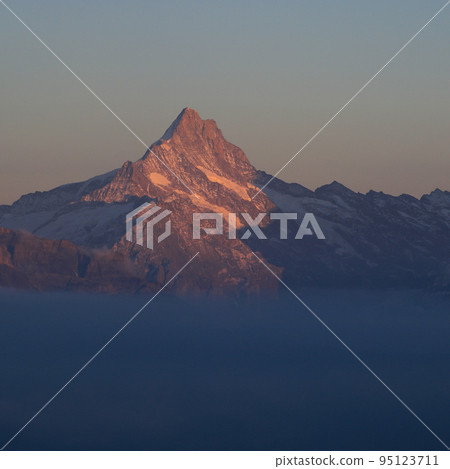 Mount Schreckhorn at sunset, view from Mount Niederhorn. 95123711