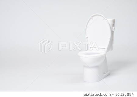 廁所的模型 95123894