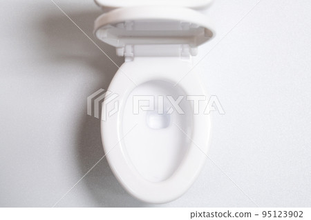廁所的模型 95123902