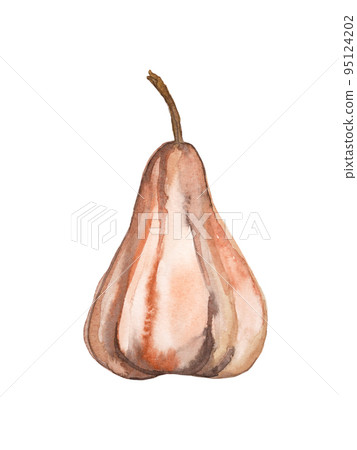 Autumn pumpkin cut out. Watercolor illustration for autumn holidays and thanksgiving day 95124202