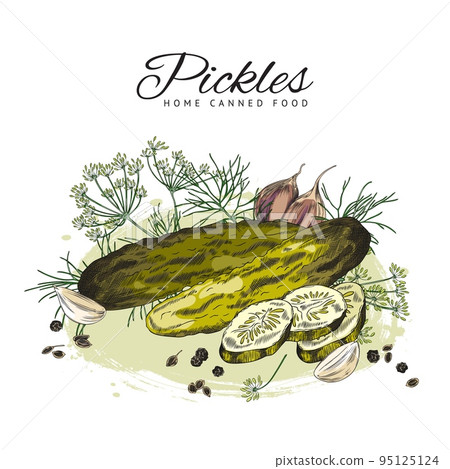 Pickles canned salted cucumbers banner or card, vector illustration isolated. 95125124