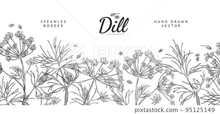 Dill plant seamless border, hand drawn sketch... - Stock Illustration ...