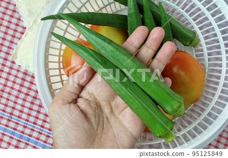 Hand Holding Fresh Okra Before Cooking Hand Holding Fresh Okra Before Cooking 95125849