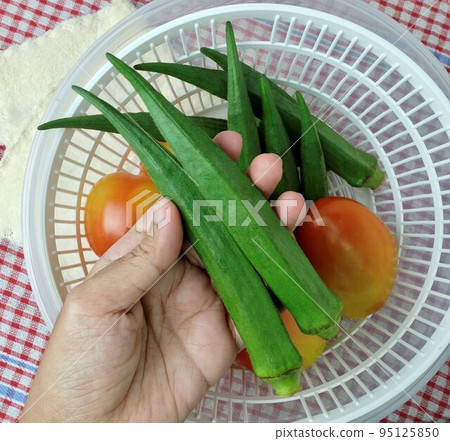 Hand Holding Fresh Okra Before Cooking 95125850