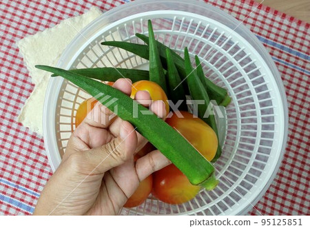Hand Holding Fresh Okra Before Cooking Hand Holding Fresh Okra Before Cooking 95125851