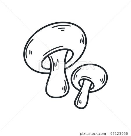 Champignons sketch isolated vector illustration Champignons sketch isolated vector illustration 95125966