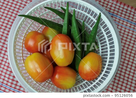 Fresh Okra and Tomatoes Before Cooking 95126056
