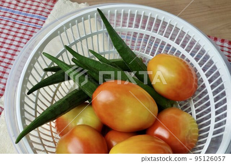 Fresh Okra and Tomatoes Before Cooking 95126057