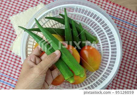 Hand Holding Fresh Okra Before Cooking 95126059