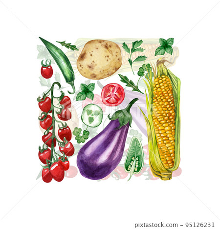 A square composition of seasonal colored vegetables hand-painted in watercolor on a white background. Suitable for menu design, printing on fabric and tableware. 95126231