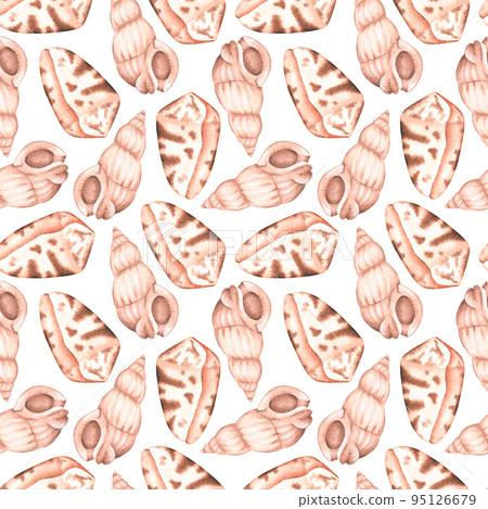 Seashells seamless pattern. Watercolor illustration. Isolated on a white background. 95126679