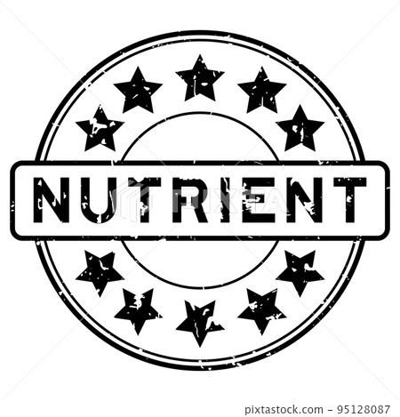 Grunge black nutrient word with star icon round rubber seal stamp on white background Grunge black nutrient word with star icon round rubber seal stamp on white background 95128087