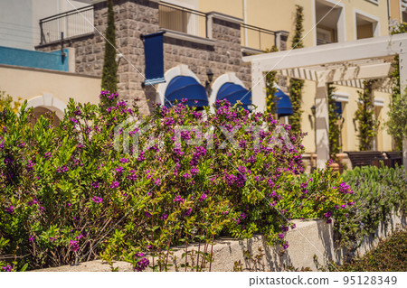 Architecture and luxury yachts in Lustica Bay, Montenegro. Travel around Montenegro concept. Go Everywhere 95128349