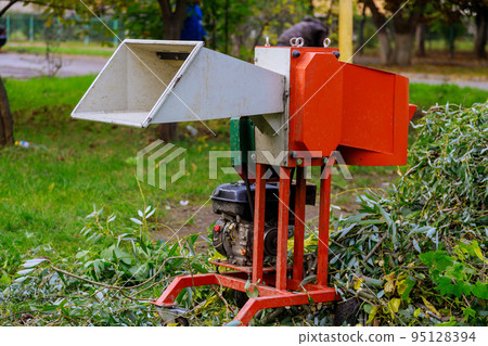 Using portable wood chipper machine, wood chips can be reduced from tree branches Using portable wood chipper machine, wood chips can be reduced from tree branches 95128394