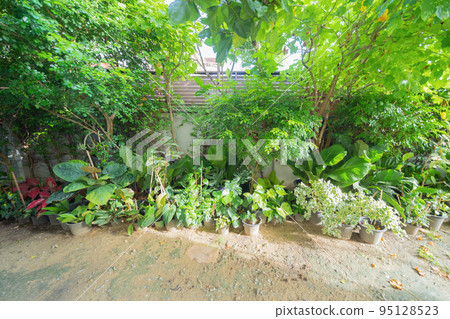 Green household vegetable plant pots leaves of trees in garden park in home or house. Exterior natural material for decoration background 95128523