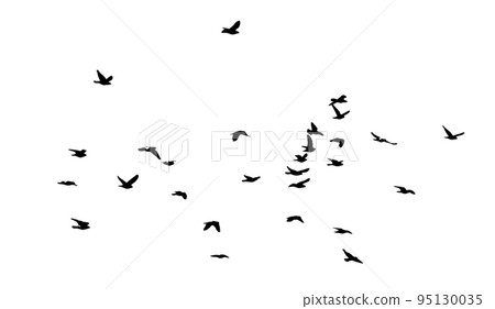A flock of flying birds. Free birds. Vector illustration A flock of flying birds. Free birds. Vector illustration 95130035