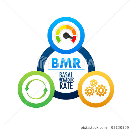 BMR - Basal Metabolic Rate acronym. Vector stock illustration. BMR - Basal Metabolic Rate acronym. Vector stock illustration. 95130599