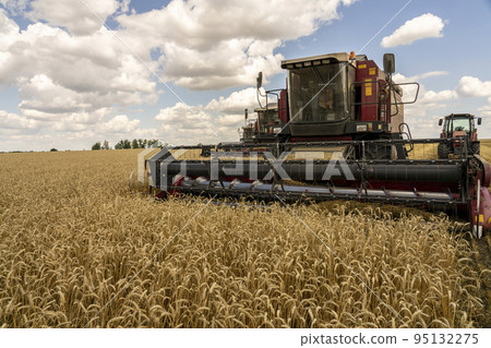 The battle for the harvest in Russia, combines and other agricultural machinery lined up in the diagonal for the harvest of wheat and other grains 95132275