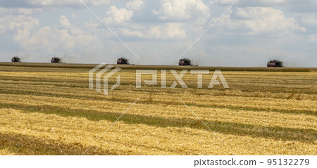 The battle for the harvest in Russia, combines and other agricultural machinery lined up in the diagonal for the harvest of wheat and other grains 95132279