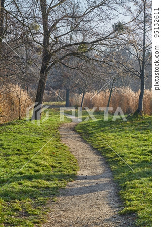 Walk in the autumn lakeside park Walk in the autumn lakeside park 95132611