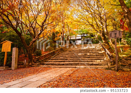 Ryoanji Temple, the approach to the fall foliage Ryoanji Temple, the approach to the fall foliage 95133723
