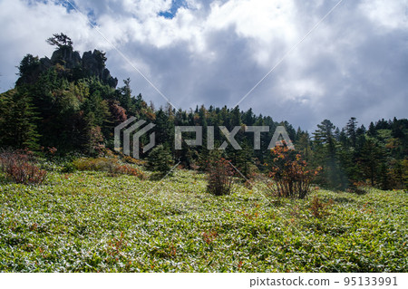 Grassland of Yumiike Park Grassland of Yumiike Park 95133991