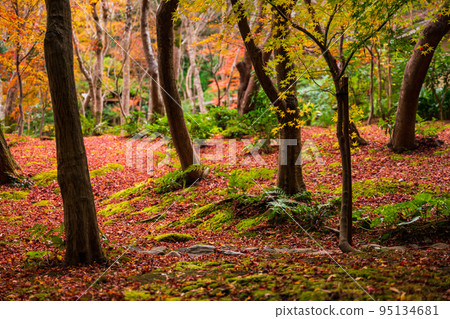 Giouji Temple, a garden of fall foliage 95134681
