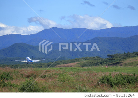 ANA定期航班起飛 95135264