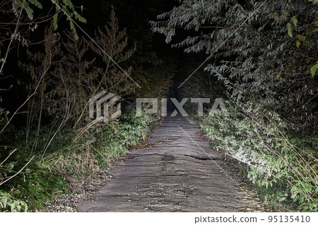 Driving on spooky dirtroad Driving on spooky dirtroad 95135410