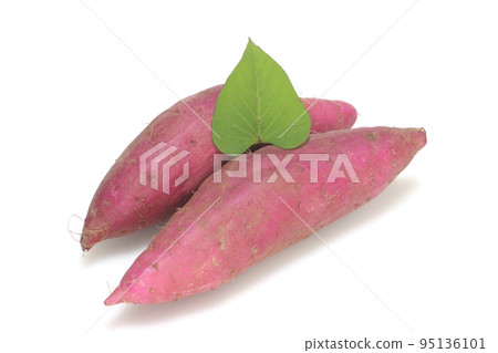 新鮮紅薯（紅薯） 95136101