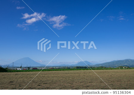 藍天下的羊蹄山和尻別山的景色 95136304