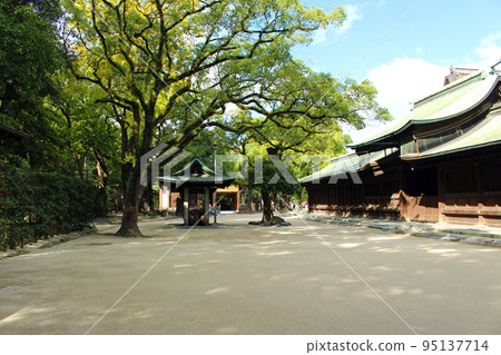 箱崎宮背後的風景 箱崎宮背後的風景 95137714