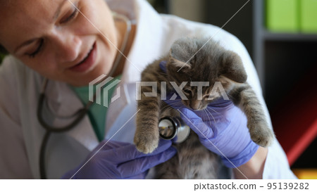 Smiling female veterinarian examining kitten with stethoscope 95139282