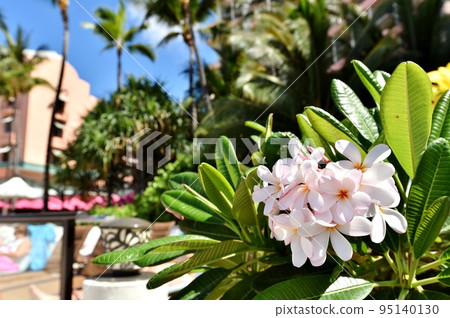 夏威夷的假期 夏威夷的假期 95140130