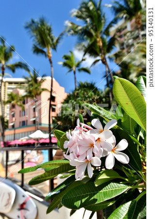 夏威夷的假期 夏威夷的假期 95140131