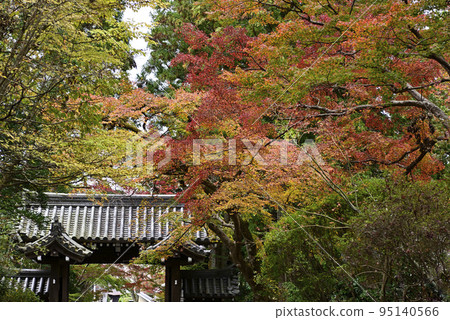赤山禪佛山門 95140566