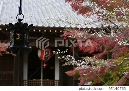 Akayama Zen paper Cold cherry tree and autumn leaves Akayama Zen paper Cold cherry tree and autumn leaves 95140763