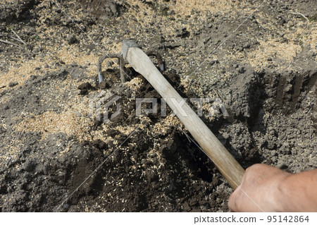 使田間稻殼中的土壤 95142864