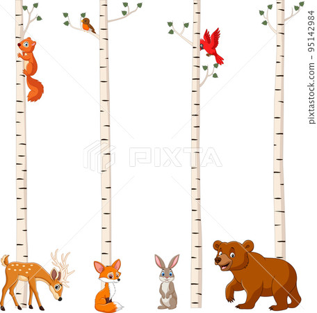 Cartoon forest animals with birch tree Cartoon forest animals with birch tree 95142984