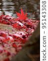 秋葉落葉 95143308
