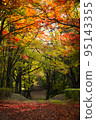 秋葉樹 95143355