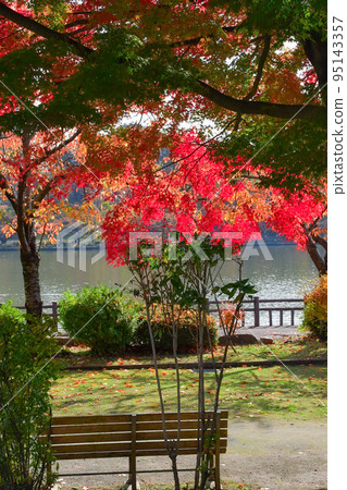 公園的秋葉 95143357