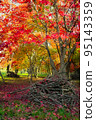 秋葉樹 95143359