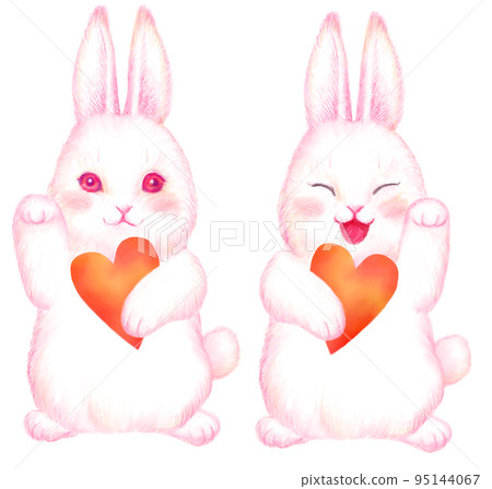 Rabbit New Year's card material _ two invited rabbits _ heart holding 95144067