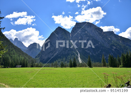 Large meadow in the valley 95145199
