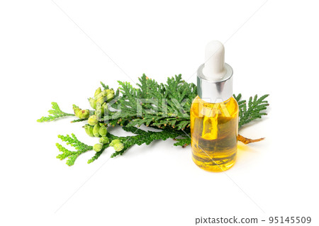 Cypress Oil Isolated 95145509