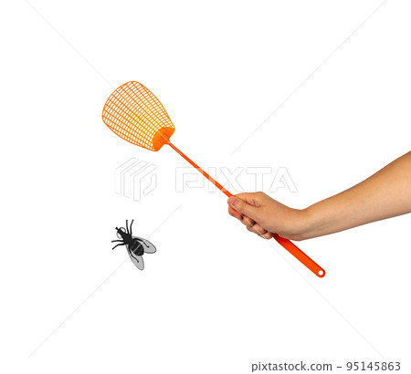 Fly Swatter, Flyswatter, Bug Swatter Isolated 95145863