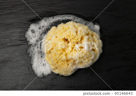 Natural Sea Sponge Natural Sea Sponge 95146643